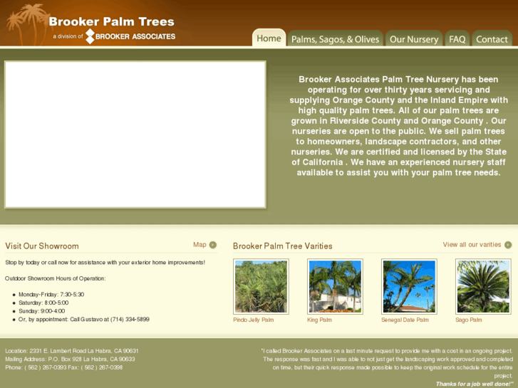 www.brookerpalmtrees.com