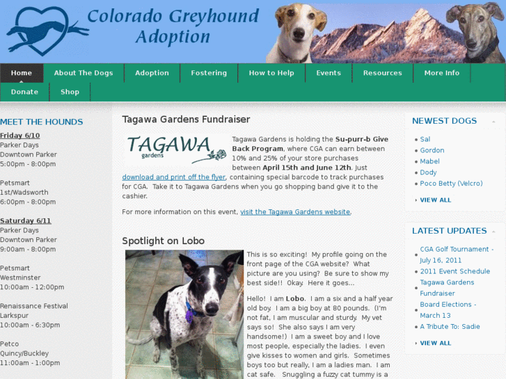 www.coloradogreyhoundadoption.com