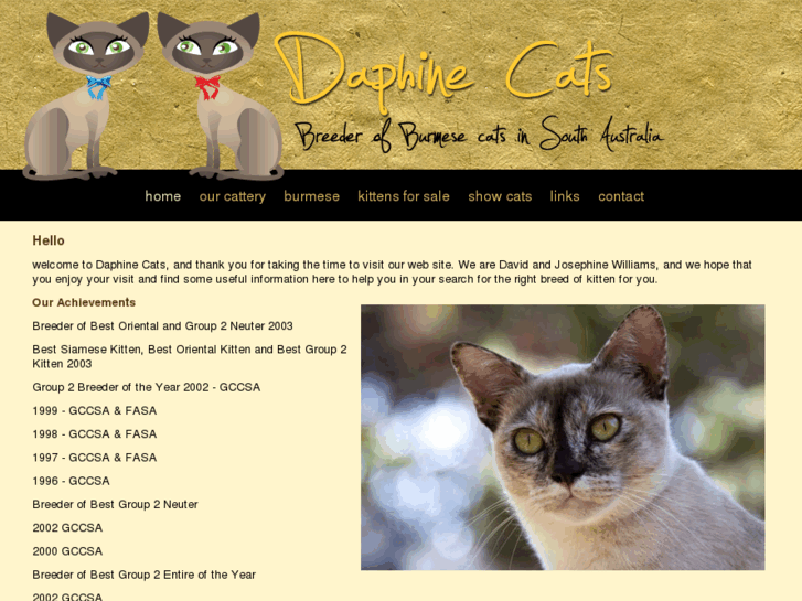 www.daphinecats.com