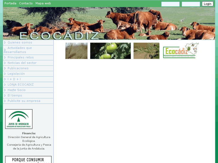 www.ecocadiz.org