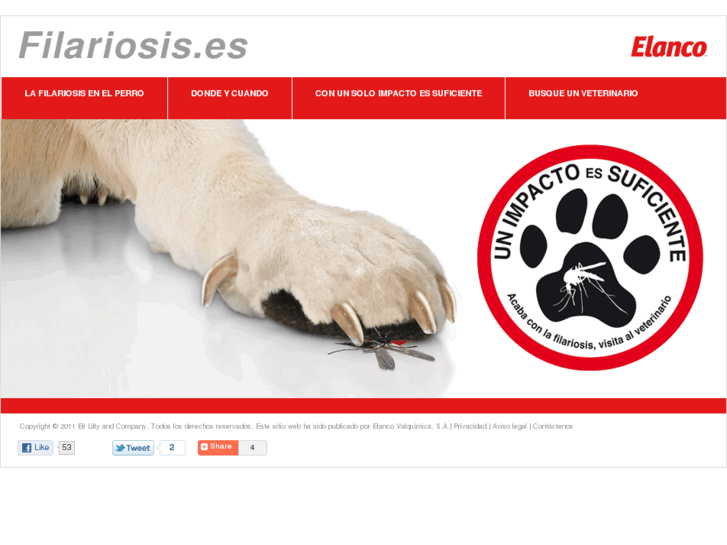 www.filariosis.es