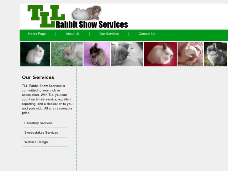 www.rabbitshowservices.com