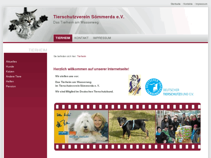 www.tierschutzverein-soemmerda.info