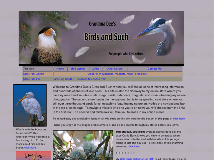 www.birdsandsuch.com