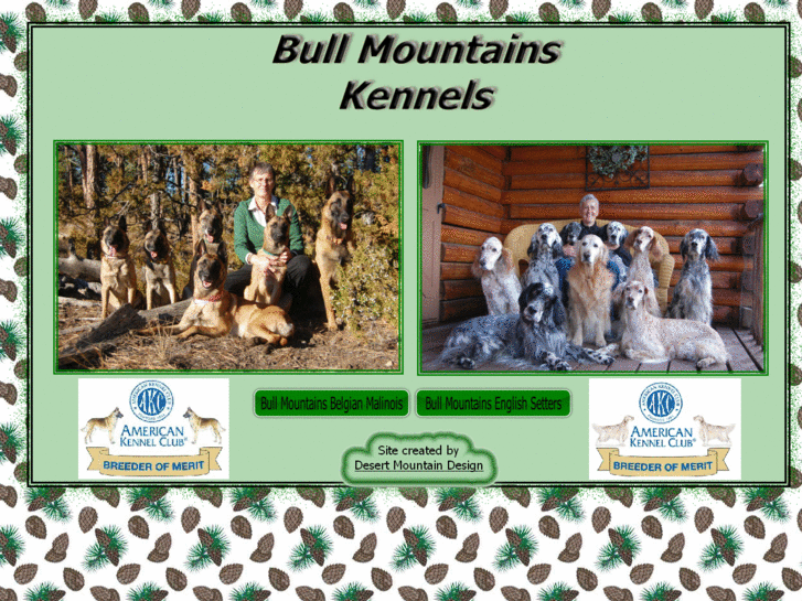 www.bullmountainskennel.com