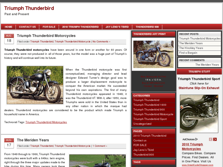 www.triumphthunderbird.org