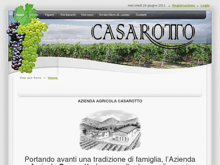 www.vinicasarotto.com