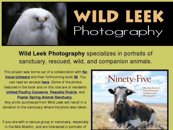 www.wildleekphotography.com