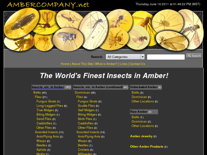 www.ambercompany.net