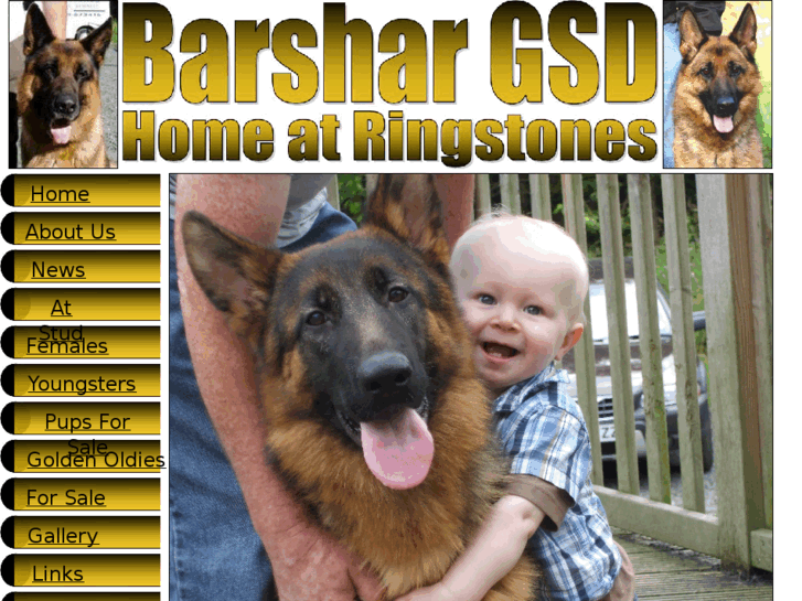 www.barshargsd.com