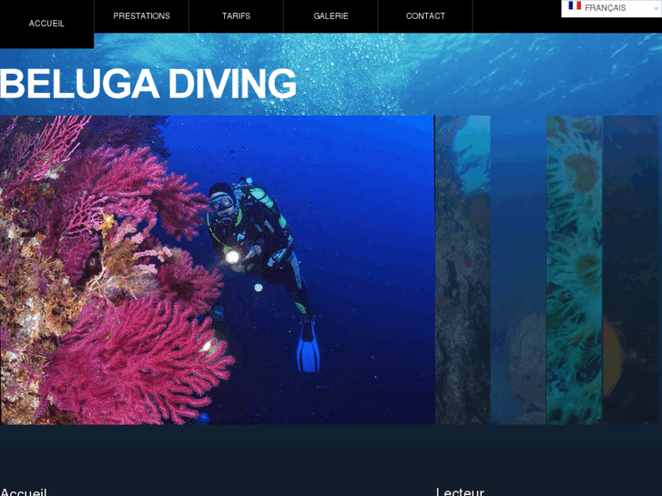 www.beluga-diving.com