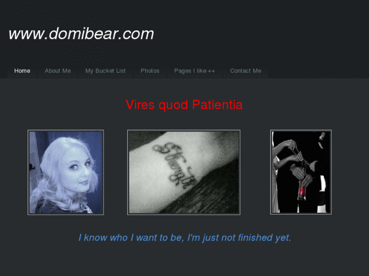 www.domibear.com