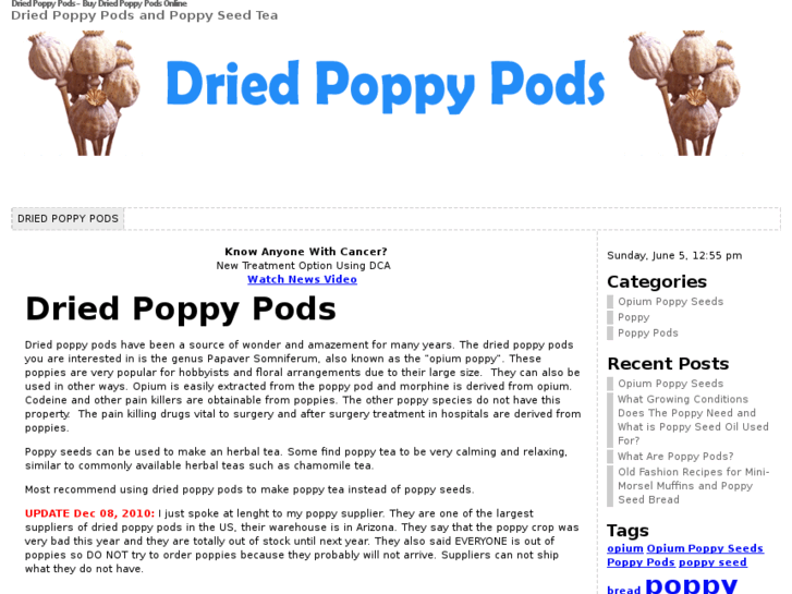 www.driedpoppypods.net