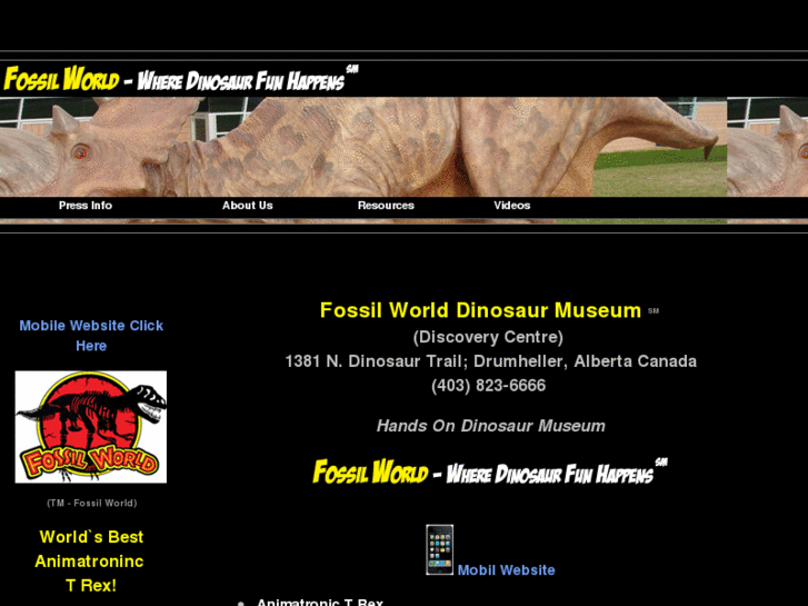 www.fossilworld.com