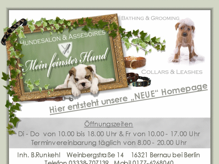 www.mein-feinster-hund.com