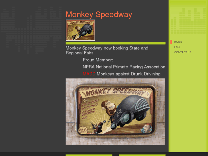 www.monkeyspeedway.com