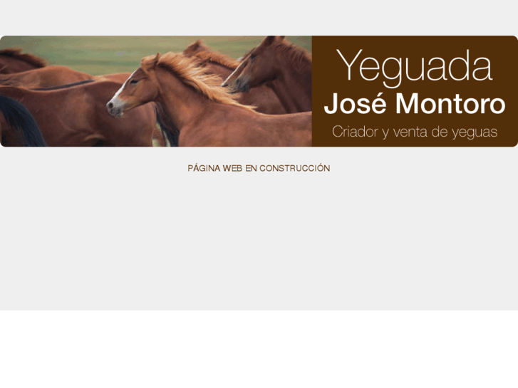 www.yeguadajosemontoro.com