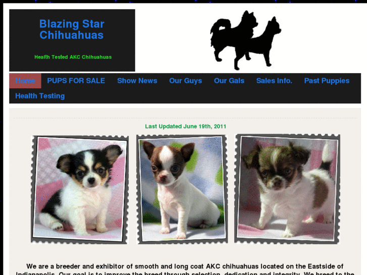 www.blazingstarchihuahuas.com