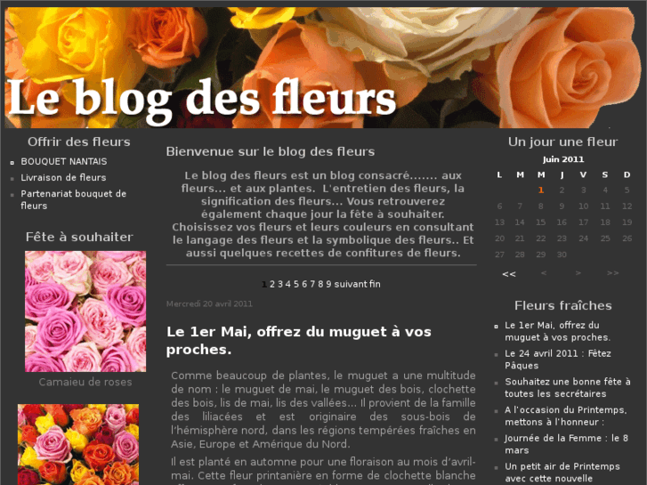 www.bouquet-fleurs.info