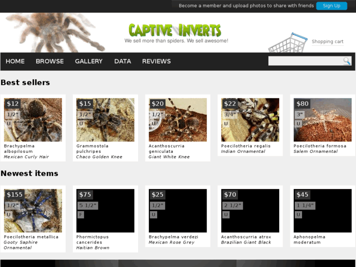 www.captiveinverts.com