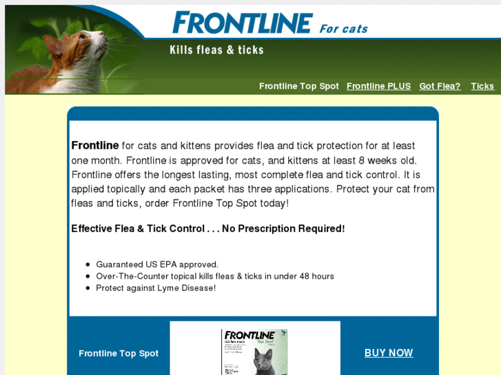 www.catfrontline.com