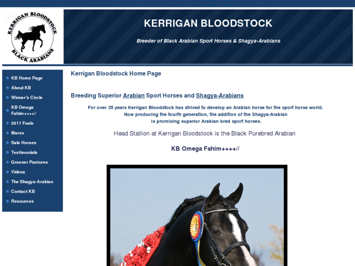 www.kerriganbloodstock.com