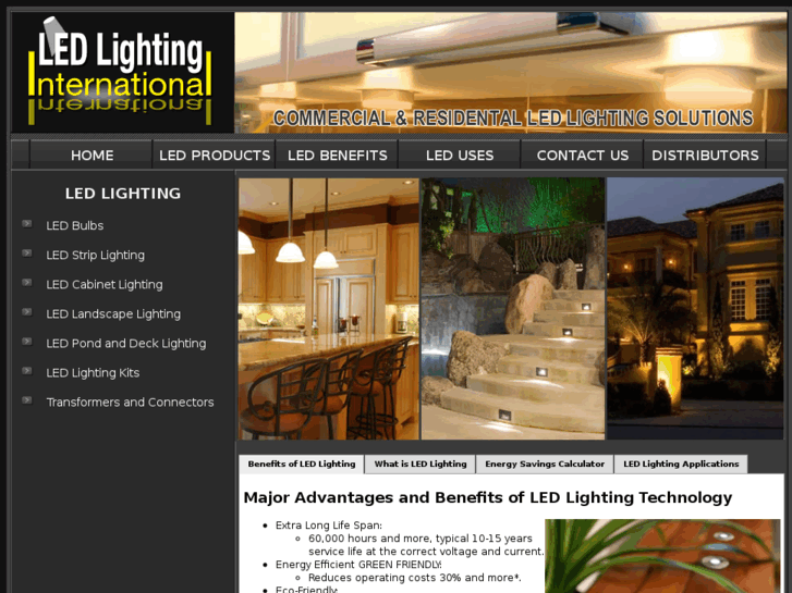 www.ledlightinginternational.com