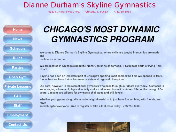 www.skylinegymnasticschicago.com