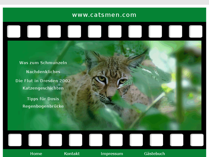 www.catsmen.com