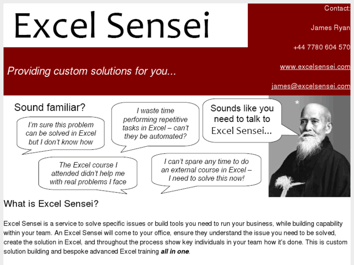 www.excelsensei.com