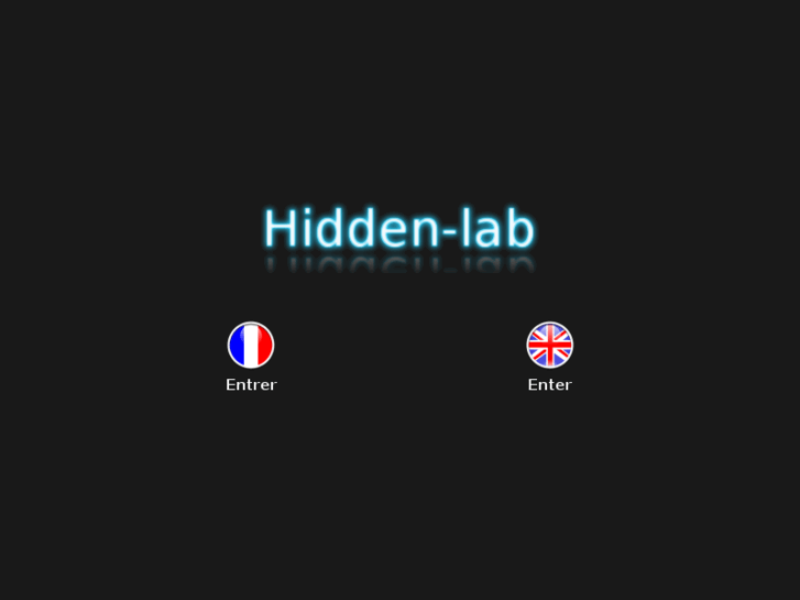 www.hidden-lab.net