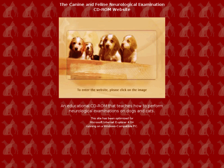 www.neuroexamination.com