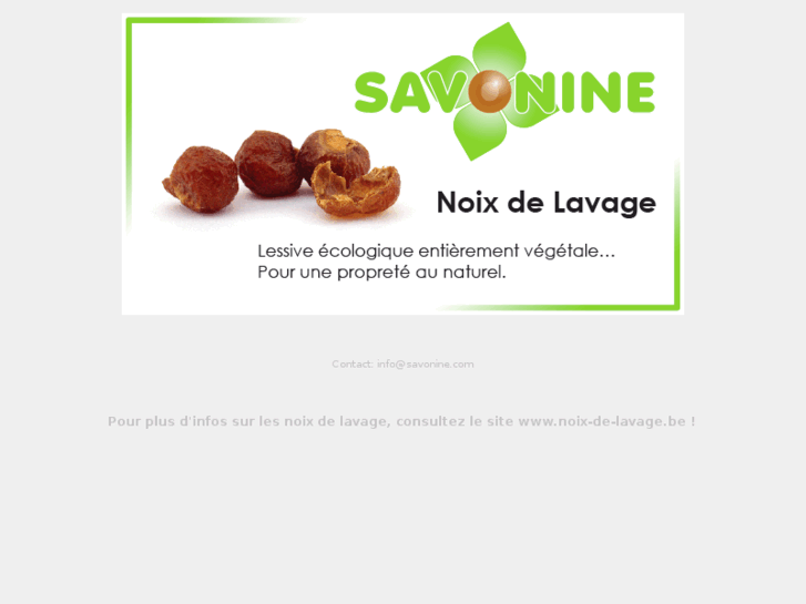 www.savonine.com