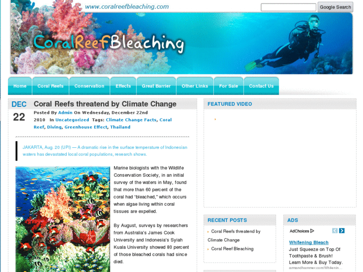 www.coralreefbleaching.com