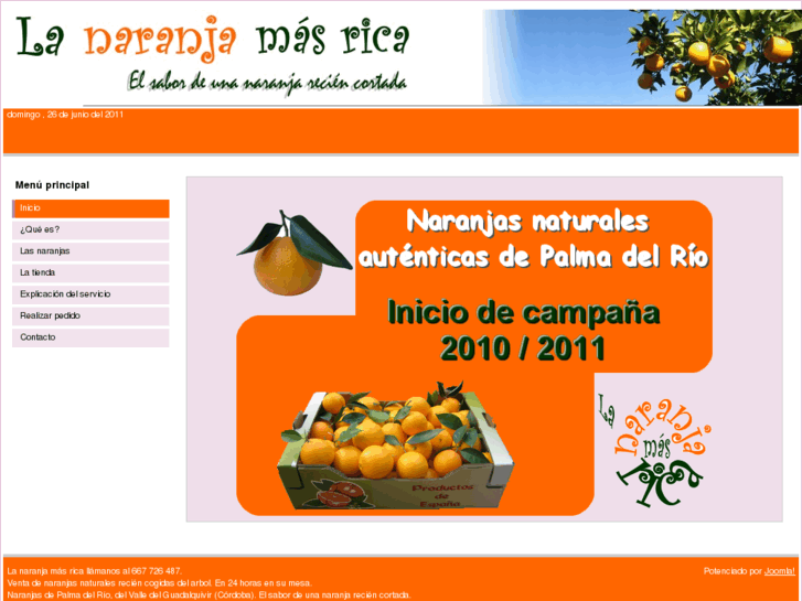 www.lanaranjamasrica.es