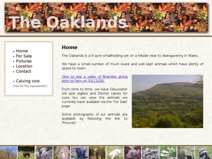 www.theoaklands.org