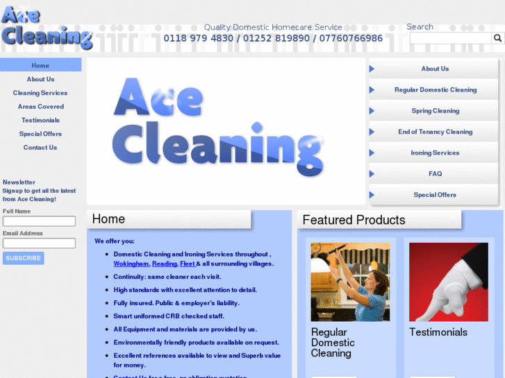 www.acecleaningdomestic.com