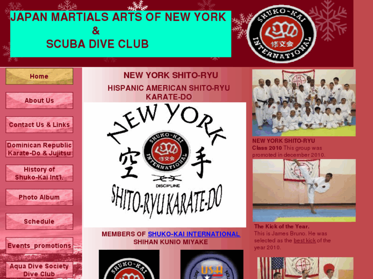 www.newyorkshito-ryu.com