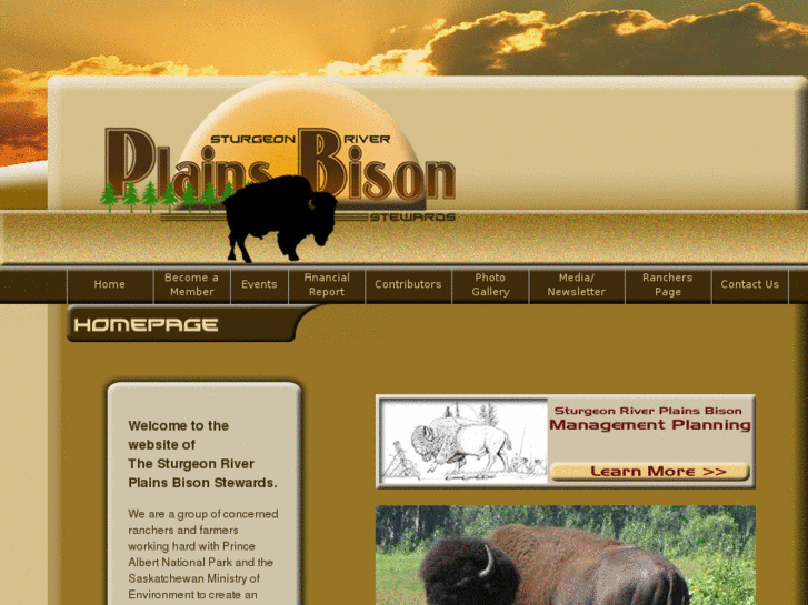 www.bisonstewards.com