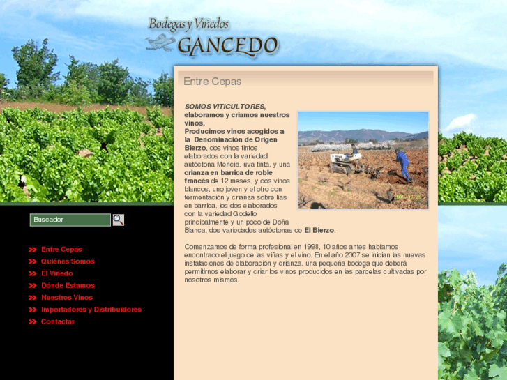 www.bodegasgancedo.com