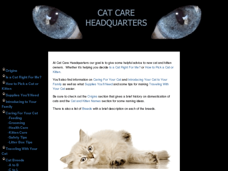 www.catcarehq.com