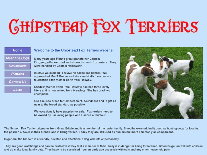 www.chipsteadfoxterriers.com