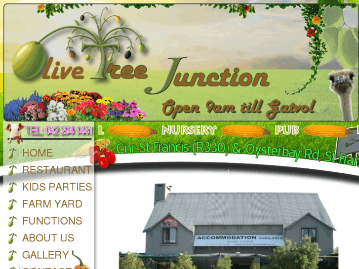 www.olivetreejunction.co.za