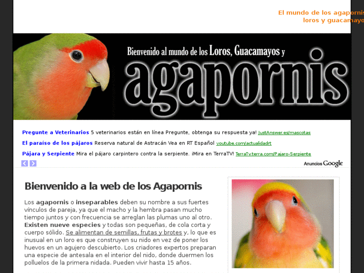 www.agaponis.es