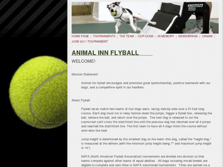 www.animalinnflyball.org