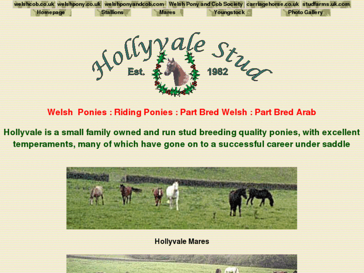 www.hollyvalestud.com