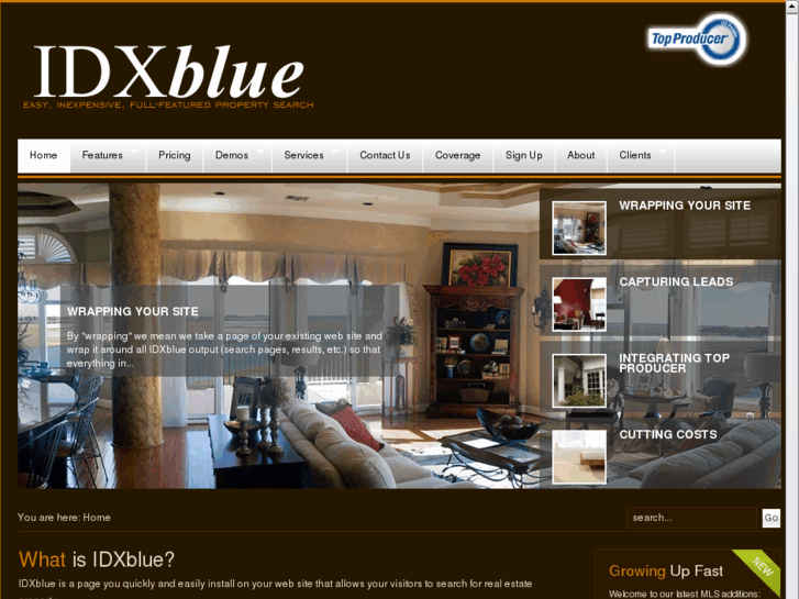 www.idxblue.biz