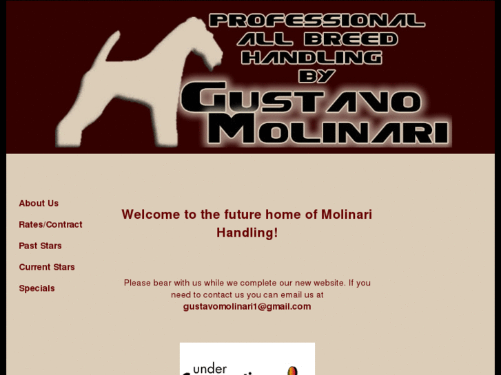 www.molinarihandling.com