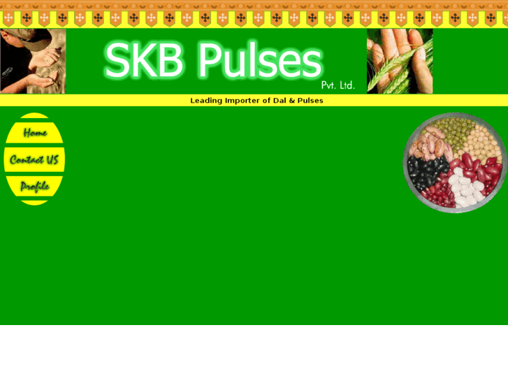 www.skbpulses.com