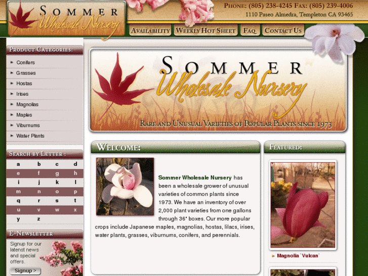 www.sommerwholesalenursery.com